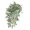 Ashland; 6 Pack: 23" Philodendron Birkin Hanging Bush by Ashland®; Category:Bushes; Image:3